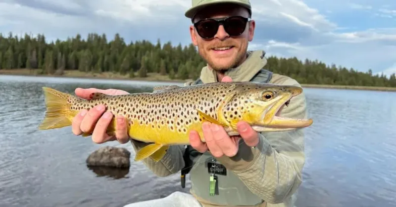 Gone fishin': Summer heat pushes Arizona anglers to highcountry waters