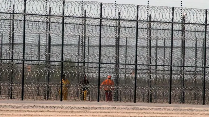 Immigration bonds lack bounds