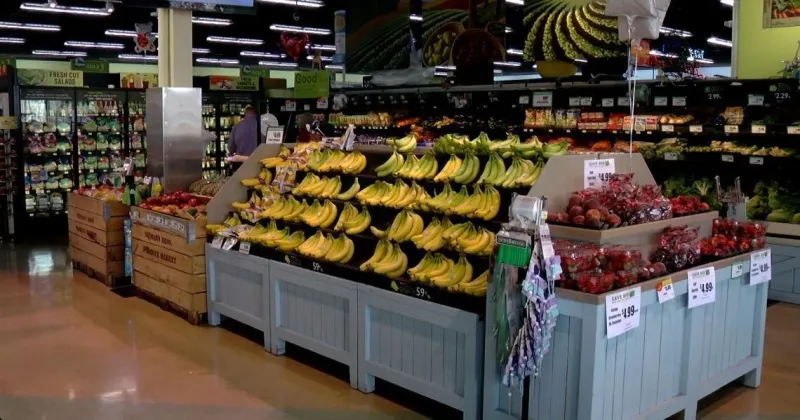Illinois launches new program to provide food benefits to people who lost SNAP