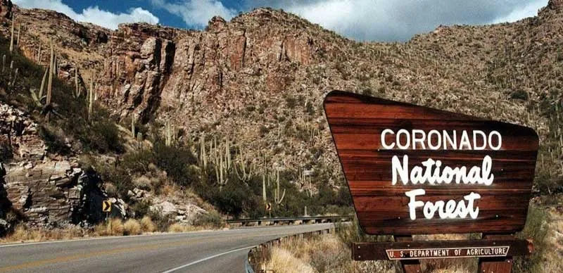 Graham Board wants Graham's Fed money spent in Coronado National Forest instead of Apache-Sitgreaves