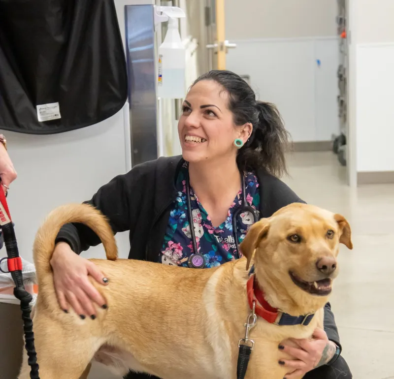 Dr. Kelly's Opens Flagstaff Clinic as Pet Care Costs Rise