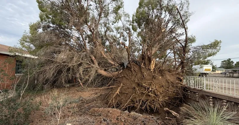 Spotty rains, damaging winds: Inside this year's unpredictable Graham County monsoon