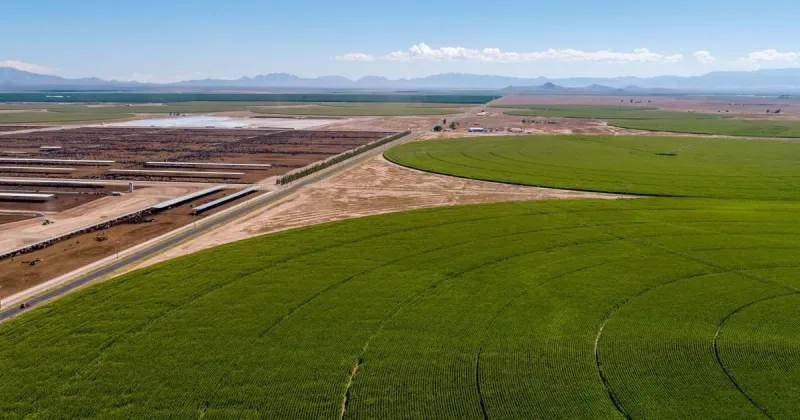 Mayes touts progress on 22 Cochise wells prior to new town hall