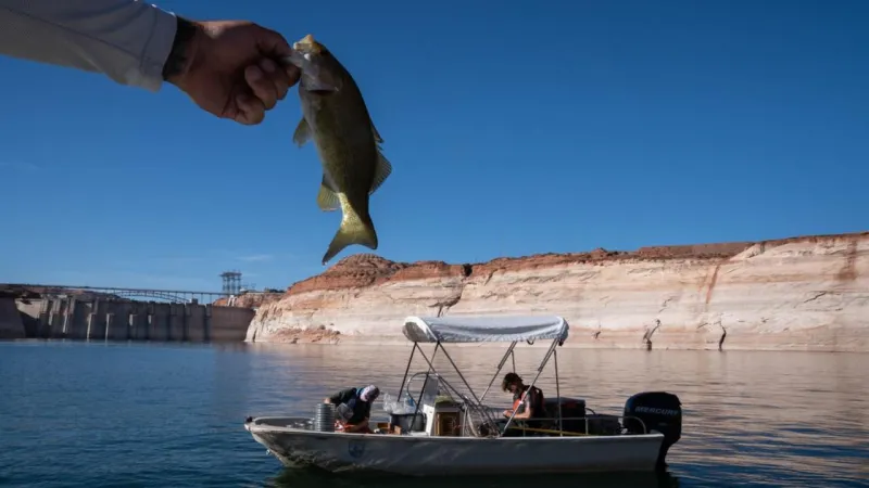 Feds nix Grand Canyon fish protection flows