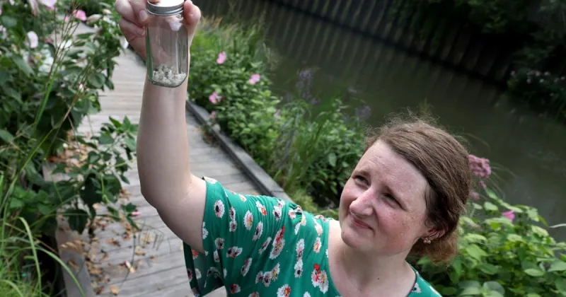 Illinois law is the first in the Great Lakes region to designate industrial plastic pellets as pollution