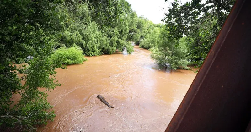 Flooding closes Hereford Road at San Pedro River bridge