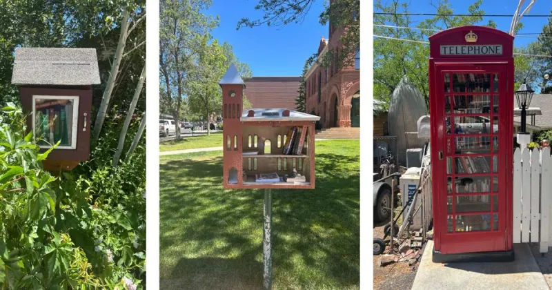 Letter from Home: Libraries large and little