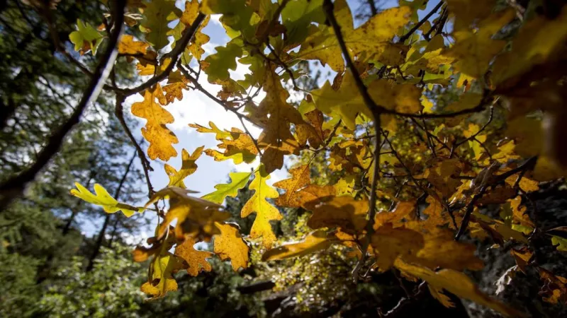 When will it cool off in Arizona? See almanac's fall weather forecast