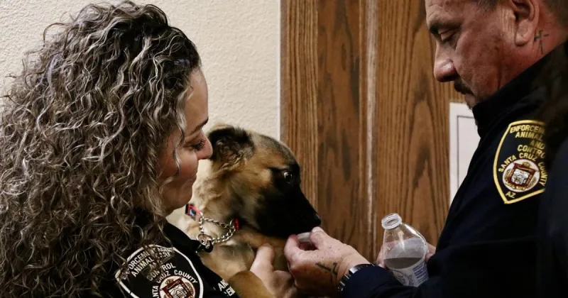 County shelter earns no-kill status with rescue partner help; new facility still in limbo