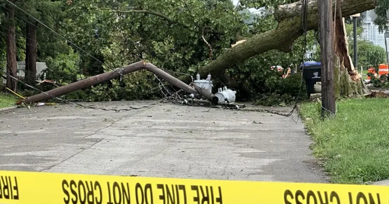 Bloomington-Normal businesses left struggling after Thursday storm