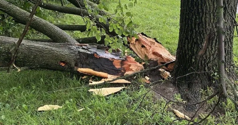 Normal officials declare disaster emergency in wake of Thursday's severe storms