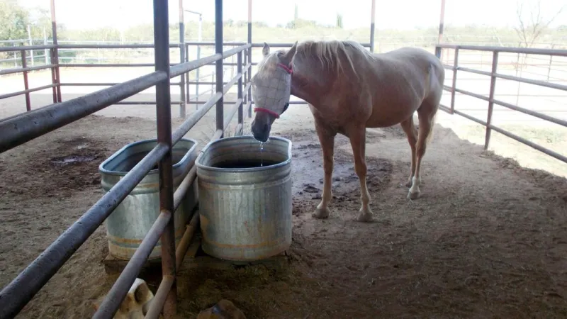 Drinking wells keep drying up in Willcox area