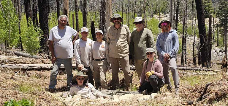 Taproot Collaboration bringing green back to the mountain