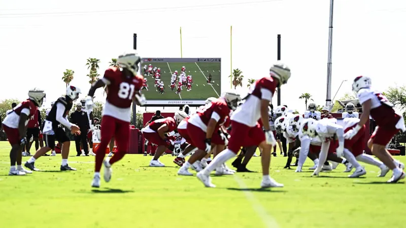 More Joint Practices For Cardinals, And Managing The Heat