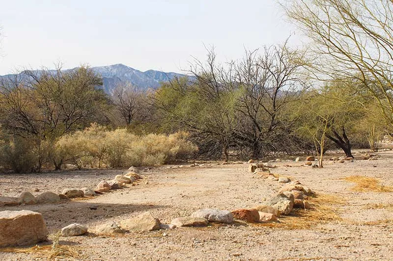 Geocache Plants at Roper Lake State Park this Saturday