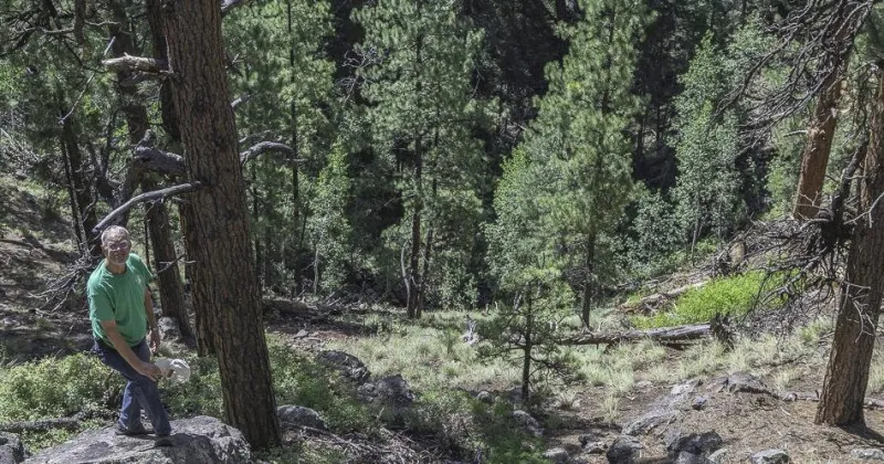 Ask a Ranger: Learning more about the 'Big Sink' near Flagstaff