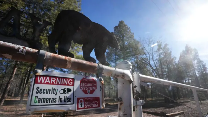 Autopsy: Bullet in Pinetop woman's killing came from outside home