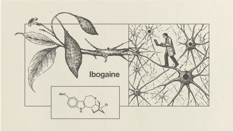 Barrow, ASU embark on one of first clinical trials of ibogaine in the US