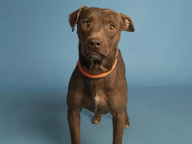 Uko Goes From Shy to Center of the Party After Rescue!