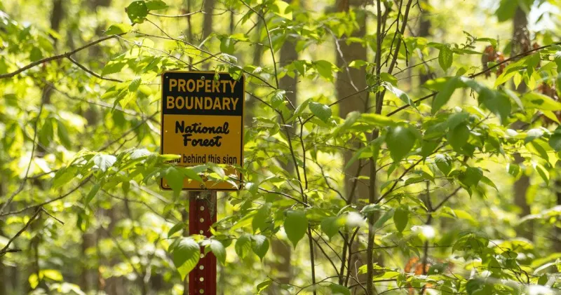 Judge orders federal logging project halted in Shawnee National Forest