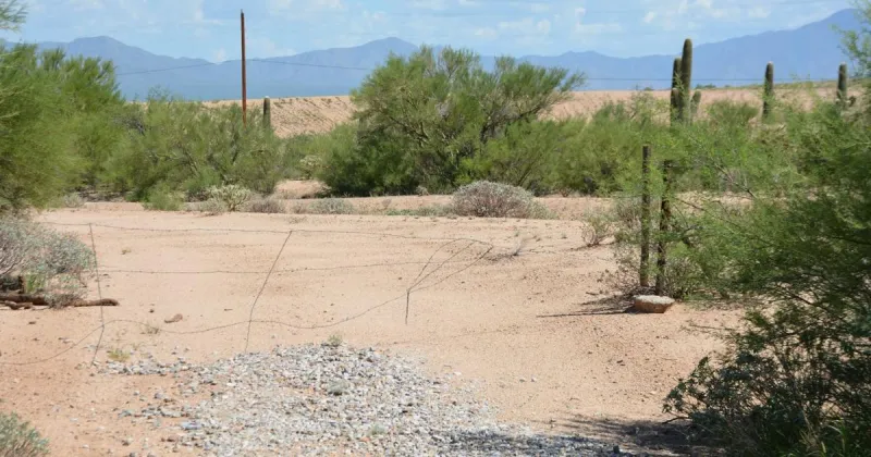 In My View: Is this really what you meant by 'It's all in your backyard'?