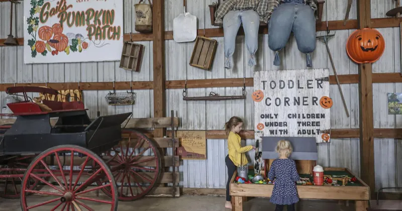Gail's Pumpkin Patch to open Sept. 10 near Beason