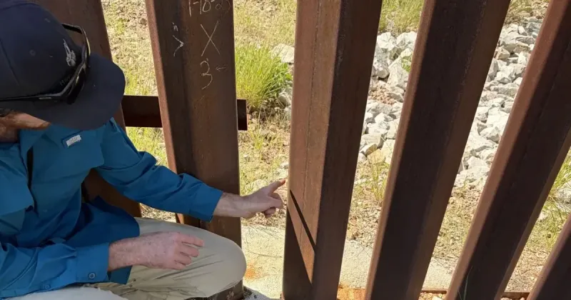 DHS nixes replicating anomaly that aids animal crossings