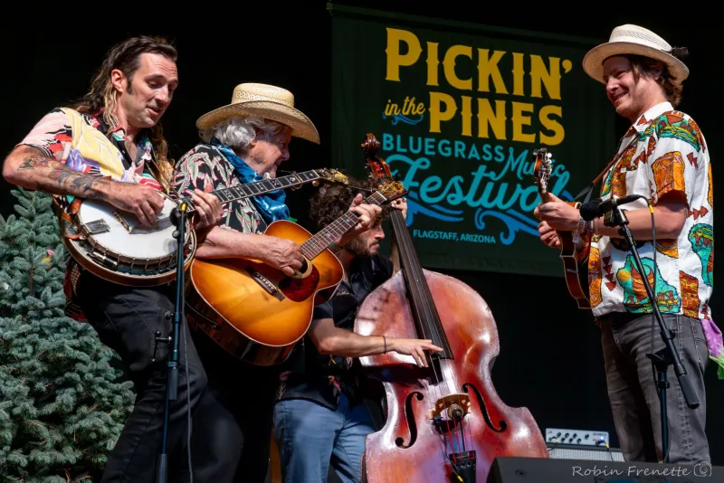 Pickin' in the Pines Turning Twenty, Attracting Thousands, Boosting Business