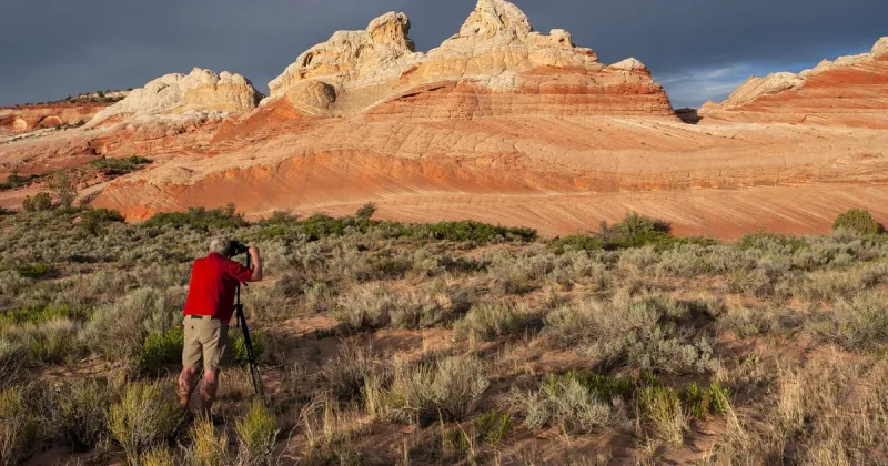 Artists' Coalition of Flagstaff to host the 2026 Plein Air Photography and Painting Festival