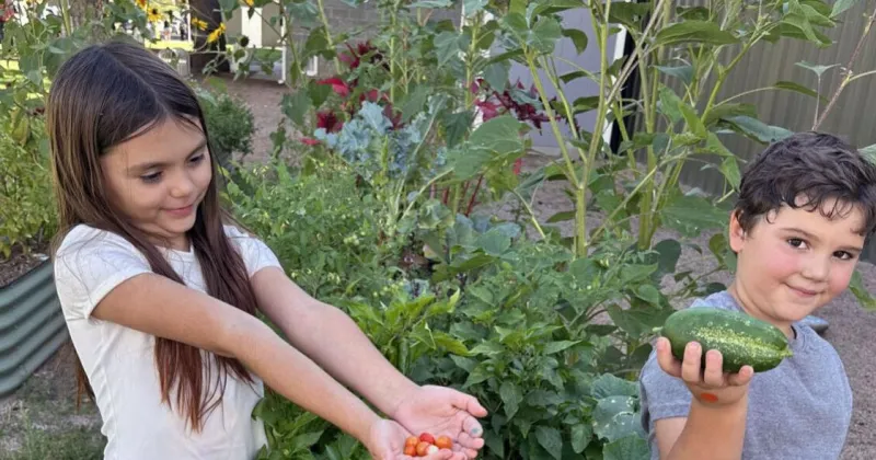 Growing Food: From sustainable farms to rented plots, our well-being begins with our food