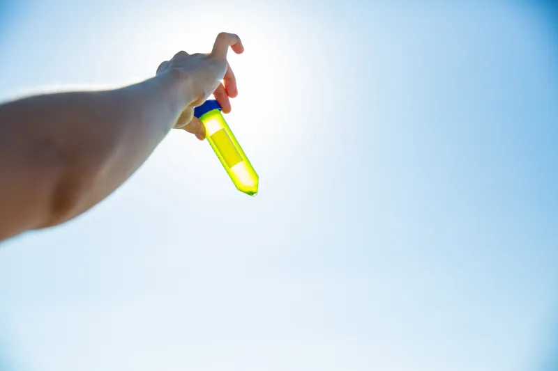 A 'green' use for air-captured CO2: Growing beneficial algae