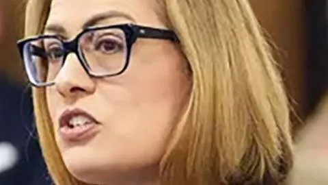 'Homewrecker' drama worries Sinema's ex-colleagues