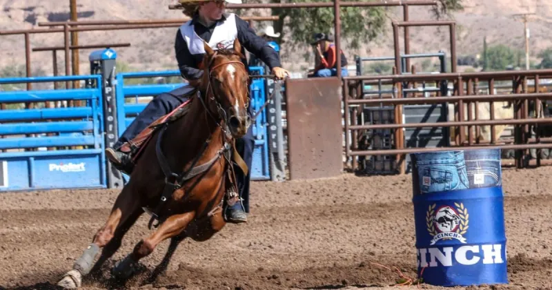Cochise College women take third as Wells shines at Cochise County Fair rodeo