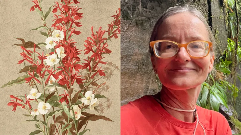What plant life has to say about the past, present and future