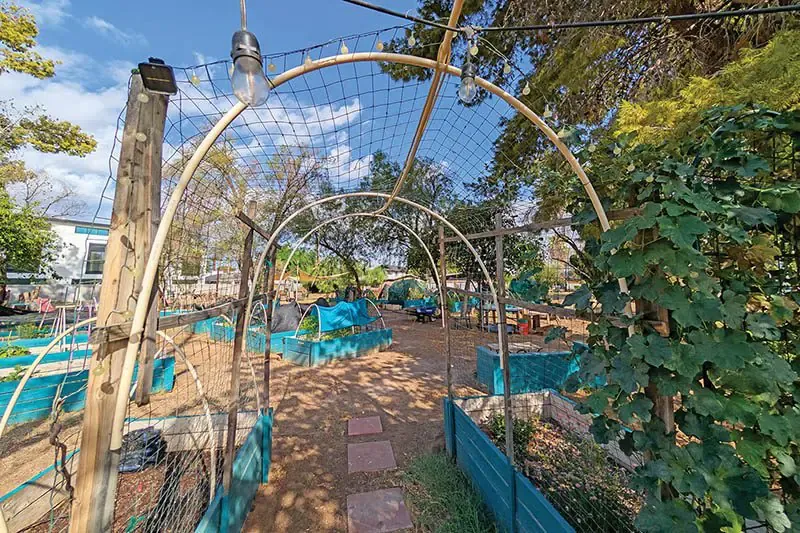 Garden nurtures community