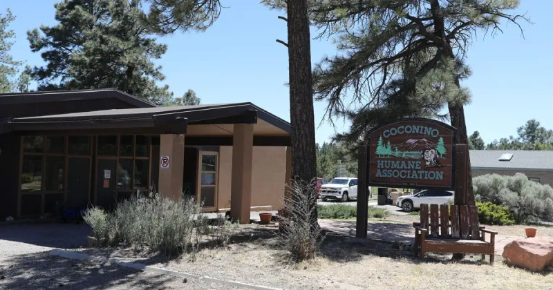 High Country Humane closes Butler shelter for winter months due to critical repairs