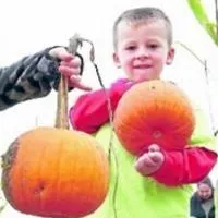 Throwback Thursday: Quad-City Times archives capture decades of fall fun
