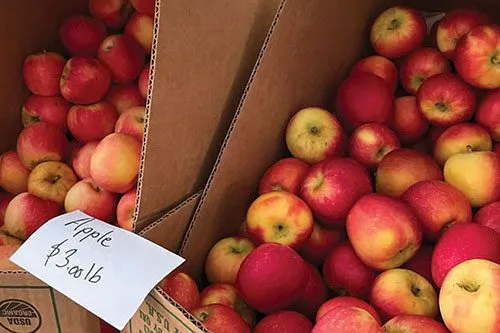 Market welcomes fall season