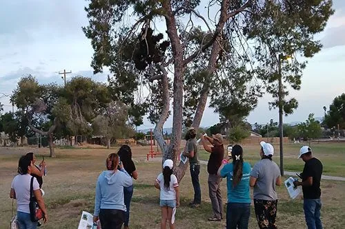 Grant win supports 'Water for Shade'