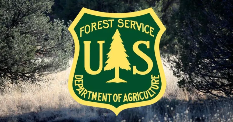 Kaibab National Forest Christmas tree permits available Oct. 8