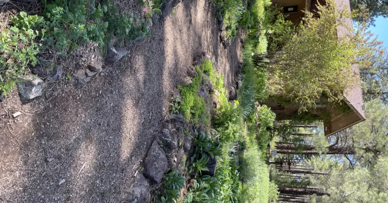 Gardening Etcetera: Is time in your garden a journey or a destination?