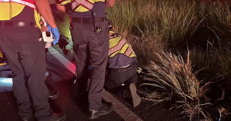 SRFD respond to bicycle vs javelina crash