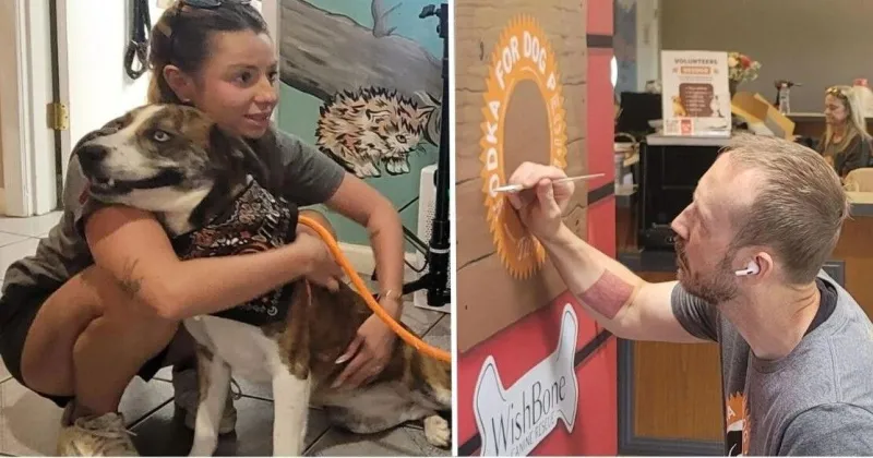 $55,000 gift from Tito's Handmade Vodka funds Wish Bone Canine Rescue updates