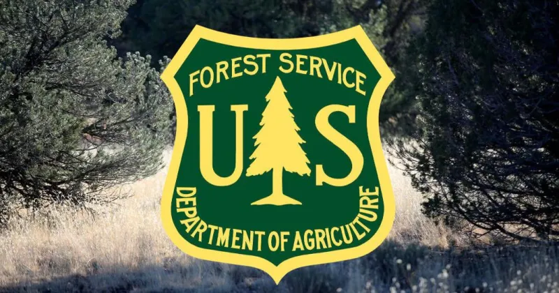 Coconino National Forest planning pile burns on Flagstaff, Mogollon Rim ranger districts