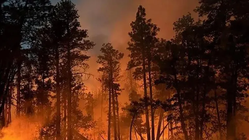 How wildfires can leave Arizonans uninsured