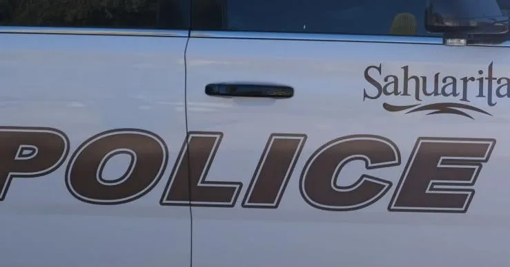 Burglar call leads to fall, accidental discharge