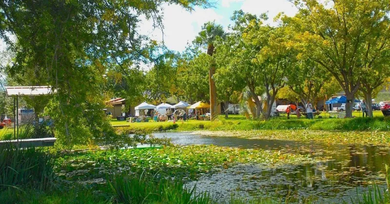Bisbee Eco Fest draws hundreds, boosts home garden program