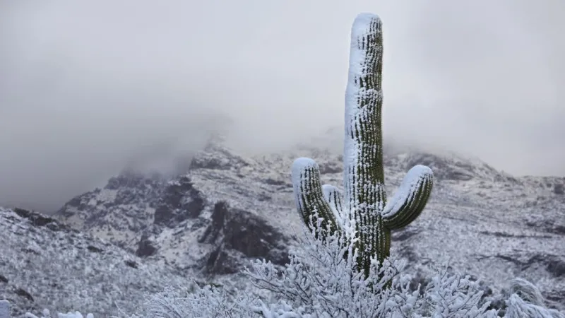 El Nio could influence Arizona's winter