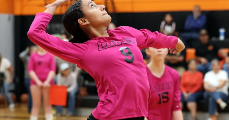Hard-hitting Lobos sweep Lourdes