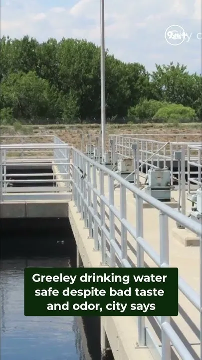 Drinking water is safe despite poor odor, Greeley officials say (Video)